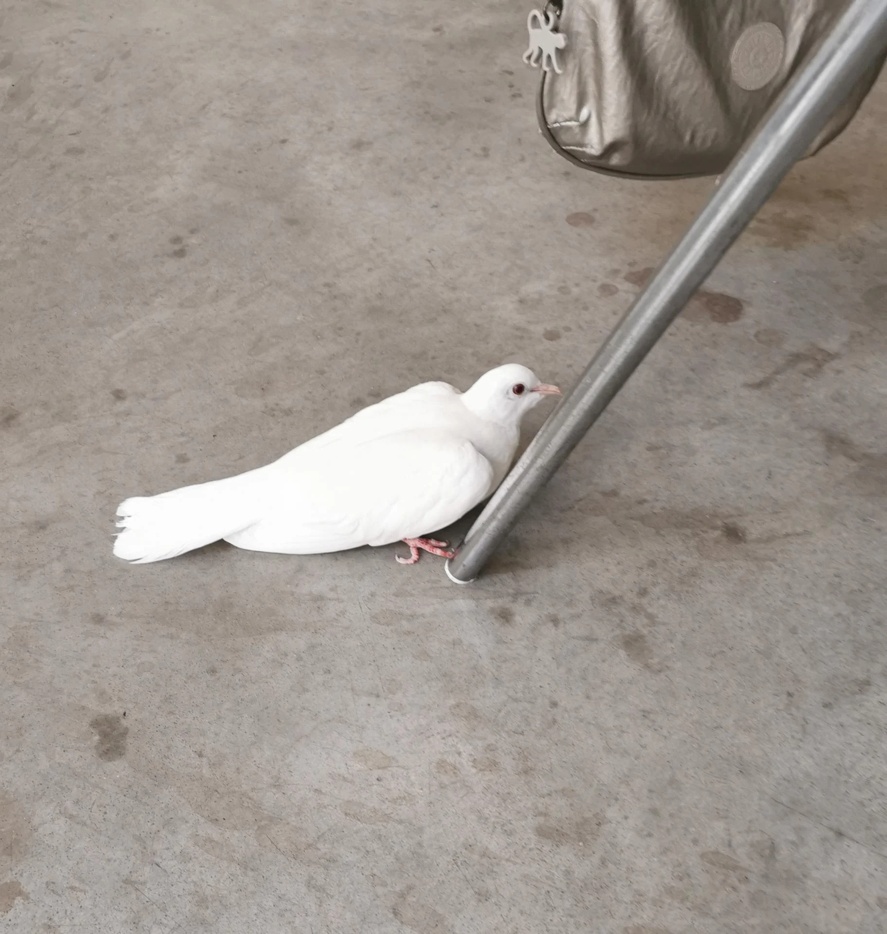 C0a46dea 8dc4 41bd 8940 18e05a30e71b