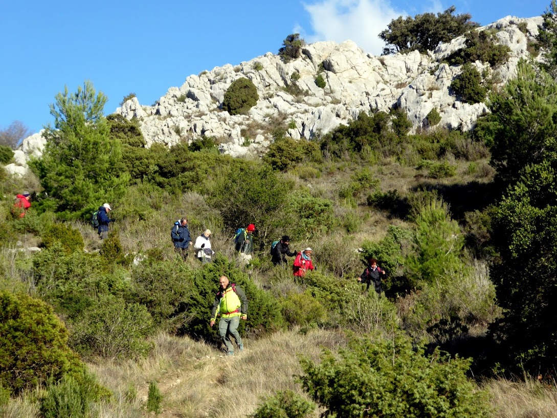 Roque fort im